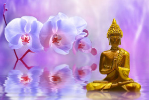 Wunschmotiv Fensterfolie - Buddha oder mit Eigenem Foto