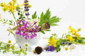Wunschbild auf Fensterfolie - Kräutergarten oder mit Eigenem Foto