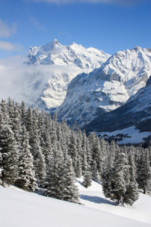 Bild Fensterfolie - Winterlandschaft oder mit Eigenem Foto