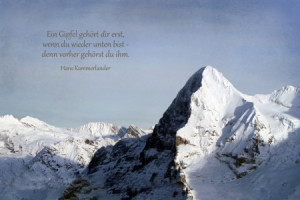 Wunschmotiv als Fensterfolie - Hans I oder mit Eigenem Foto