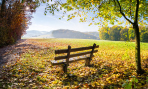 Foto auf Fensterfolie - Goldener Herbst oder mit Eigenem Foto