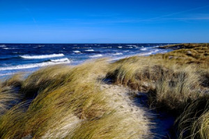 Wunschbild Fensterfolie - Wind Am Meer oder mit Eigenem Foto