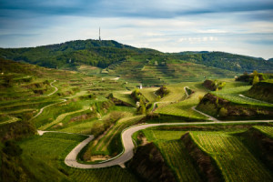 Bilder Fensterfolie - Der Kaiserstuhl Im Frühling oder mit Eigenem ...