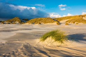 Bilder Fensterfolie - Amrum oder mit Eigenem Foto