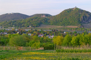 Fensterfolie - Frühling Rhein Siebengebirge oder mit Eigenem Foto