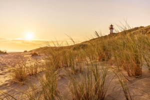 Motiv als Fensterfolie - Spätsommer Auf Sylt oder mit Eigenem Foto