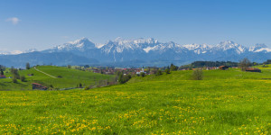 Motiv auf Fensterfolie - Ostallgäu oder mit Eigenem Foto
