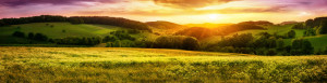 Fotos Fensterfolie - Panorama Einer Blühende Wiese Bei Sonnenunterg...