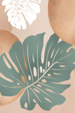 Wunschmotiv als Fensterfolie - Monstera oder mit Eigenem Foto