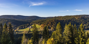 Motiv auf Fensterfolie - Schwarzwaldhaus Im Schwarzwald oder mit Ei...