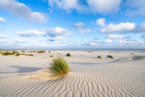 Fensterfolie - Dünenlandschaft Im Sommer oder mit Eigenem Foto