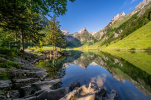 Motiv als Fensterfolie - Seealpsee Im Appenzeller Land oder mit Eig...
