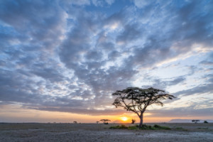 Fensterfolie - Sonnenuntergang Im Amboseli Nationalpark oder mit Ei...