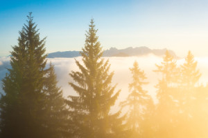 Fensterfolie - Kaisergebirge Im Sonnenaufgang Über Nebelmeer oder m...