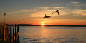 Foto Fensterfolie - Sonnenuntergang In Meersburg Am Bodensee oder m...