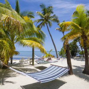 Wunschbild auf Glas-Schneidebrett - Florida Keys Wellness oder mit ...