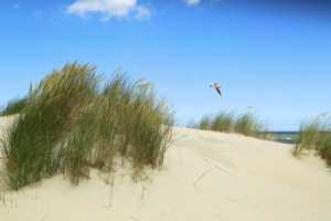 Motiv auf Glas-Schneidebrett - Meine Nordsee oder mit Eigenem Foto