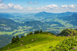 Motiv auf Glas-Schneidebrett - Almwirtschaft Am Söllereck oder mit ...
