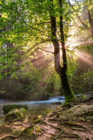 Wunschmotiv als Glas-Schneidebrett - Small River In The Jura Mounta...