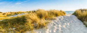 Wunschmotiv auf Glas-Schneidebrett - Sommer Am Meer oder mit Eigene...