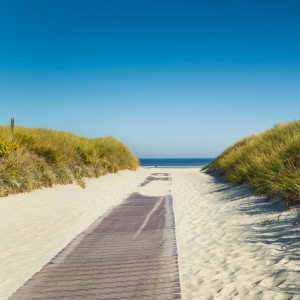 Foto Glas-Schneidebrett - Norderney - Ausritt Am Strand oder mit Ei...