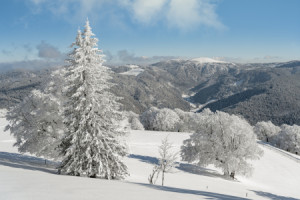 Bild Glas-Schneidebrett - Blick Zum Feldberg Im Schwarzwald oder mi...