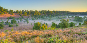Motiv als Glas-Schneidebrett - Morgens In Der Lüneburger Heide oder...