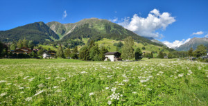 Wunschmotiv auf Glas-Schneidebrett - Madrisablick Klosters oder mit...