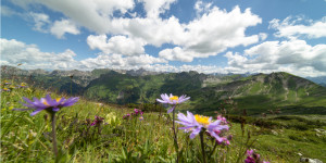 Fotos Glas-Schneidebrett - Ein Sommertag Im Allgäu oder mit Eigenem...