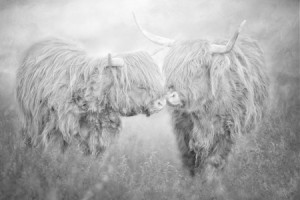 Fotos Glas-Schneidebrett - Cuddling oder mit Eigenem Foto