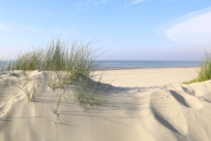 Wunschbild Glas-Schneidebrett - Baltrum Dünen Meer oder mit Eigenem...