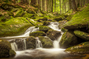 Bilder Glas-Schneidebrett - Grüner Wildbach oder mit Eigenem Foto
