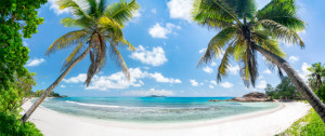 Bild auf Glas-Schneidebrett - Tropischer Palmenstrand Mit Blick Auf...
