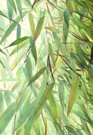 Motiv als Grußkarte - Green Bamboo No 2 oder mit Eigenem Foto