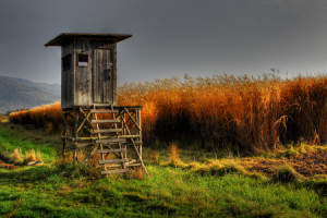 Bild Grußkarte - Herbstlicher Ansitz oder mit Eigenem Foto
