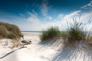 Wunschbild als Grußkarte - Sylt - On The Beach oder mit Eigenem Foto