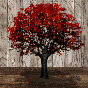 Wunschbild Grußkarte - Autumn Glory oder mit Eigenem Foto