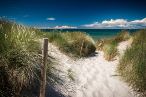 Wunschbild Grußkarte - Strand Von Darß Mecklenburg-Vorpommern oder ...