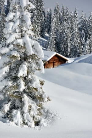 Wunschbild auf Grußkarte - Winteridylle oder mit Eigenem Foto