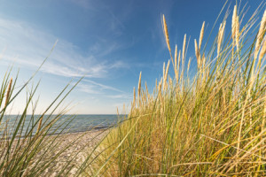 Wunschmotiv auf Grußkarte - Durchblick Zum Meer oder mit Eigenem Foto