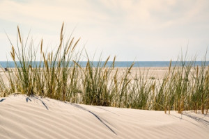 Wunschbild als Grußkarte - Düne oder mit Eigenem Foto