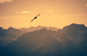 Wunschbild als Grußkarte - Sunset Segler oder mit Eigenem Foto