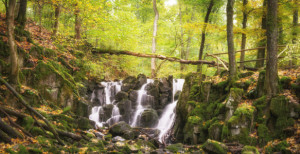 Bild auf Grußkarte - Wasserfall Im Märchenwald oder mit Eigenem Foto