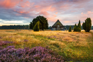 Bilder Grußkarte - Schafstall In Der Lüneburger Heide oder mit Eige...