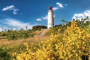Foto auf Grußkarte - Leuchtturm Auf Der Insel Hiddensee An Der Osts...
