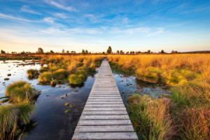Wunschbild Grußkarte - Hohes Venn In Belgien oder mit Eigenem Foto