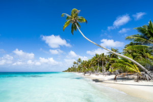 Bild auf Grußkarte - Urlaub Am Palmenstrand oder mit Eigenem Foto