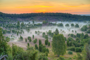 Bild auf Grußkarte - Totengrund In Der Lüneburger Heide oder mit Ei...