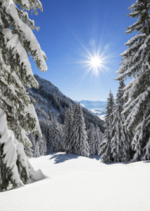 Bild auf Grußkarte - Sonne Wald Und Schnee oder mit Eigenem Foto