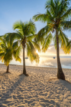 Bild Grußkarte - Palmenstrand Bei Sonnenuntergang oder mit Eigenem ...